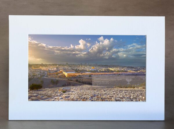 Box Sets - Image 7