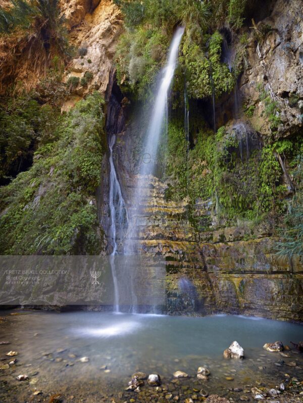 David Waterfall, Ein Gedi, Judean Desert