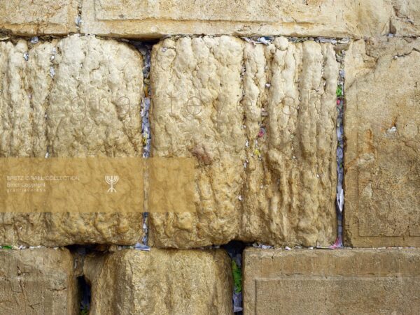 Prayer Notes, Kotel