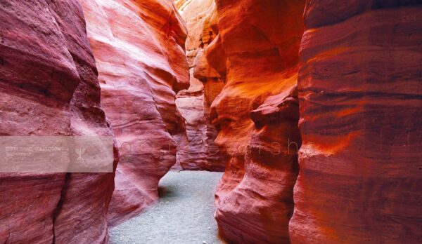 Red Canyon: Eilat Mountains, Southern Negev.