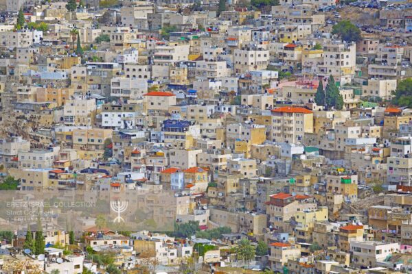 In Good Time: Valley of Josaphat/ Kidron Valley, East Jerusalem