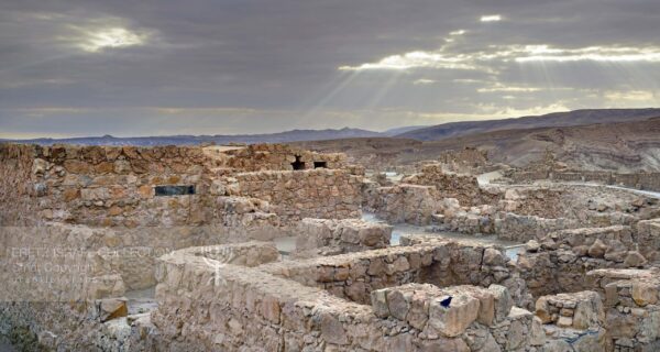 To the Bird: Masada, Judean Desert